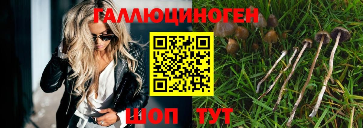 Псилоцибиновые грибы Cubensis Норильск