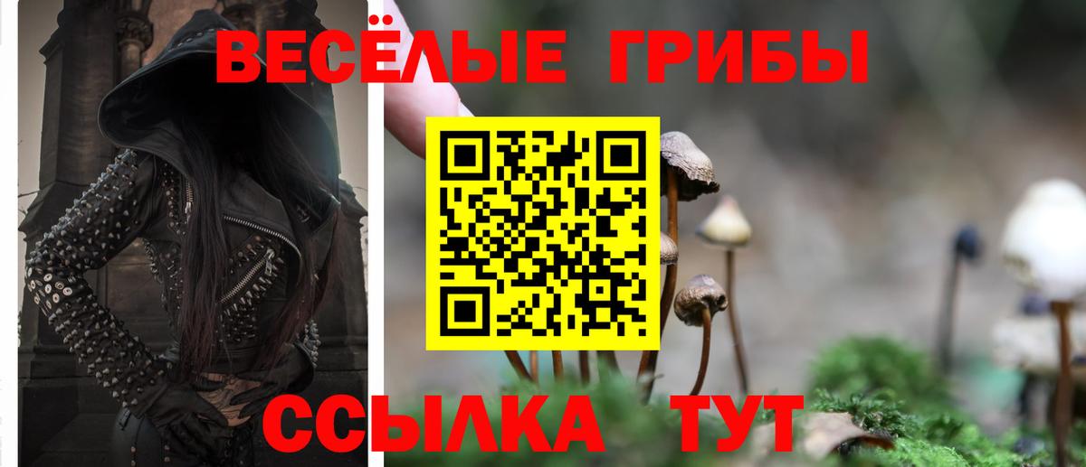 Галлюциногенные грибы Cubensis  Вход с VPN  Норильск 